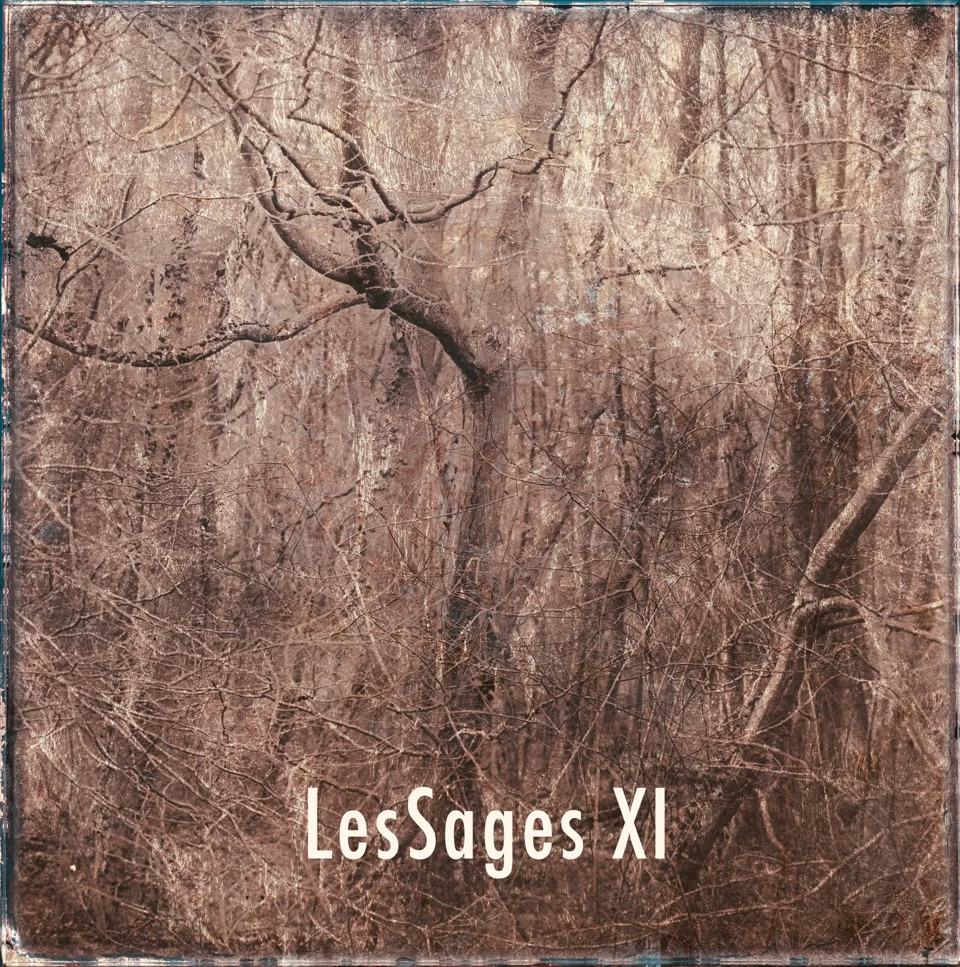 Les Sages XI — Denis Félix